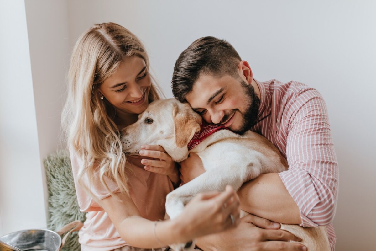 Test4Pets