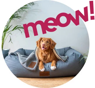 Test4Pets